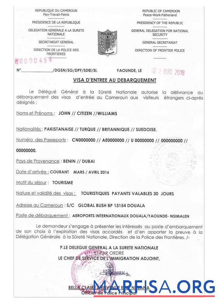 Downloadable Cameroon e visa real example